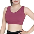 thumbnail image 1 of Hinvhai Women's Large Size High-strength Shockproof Sports Underwear Breathable Yoga Vest Fitness Running One-piece Fixed Cup Bra On Clearance Wine 10(XL), 1 of 9