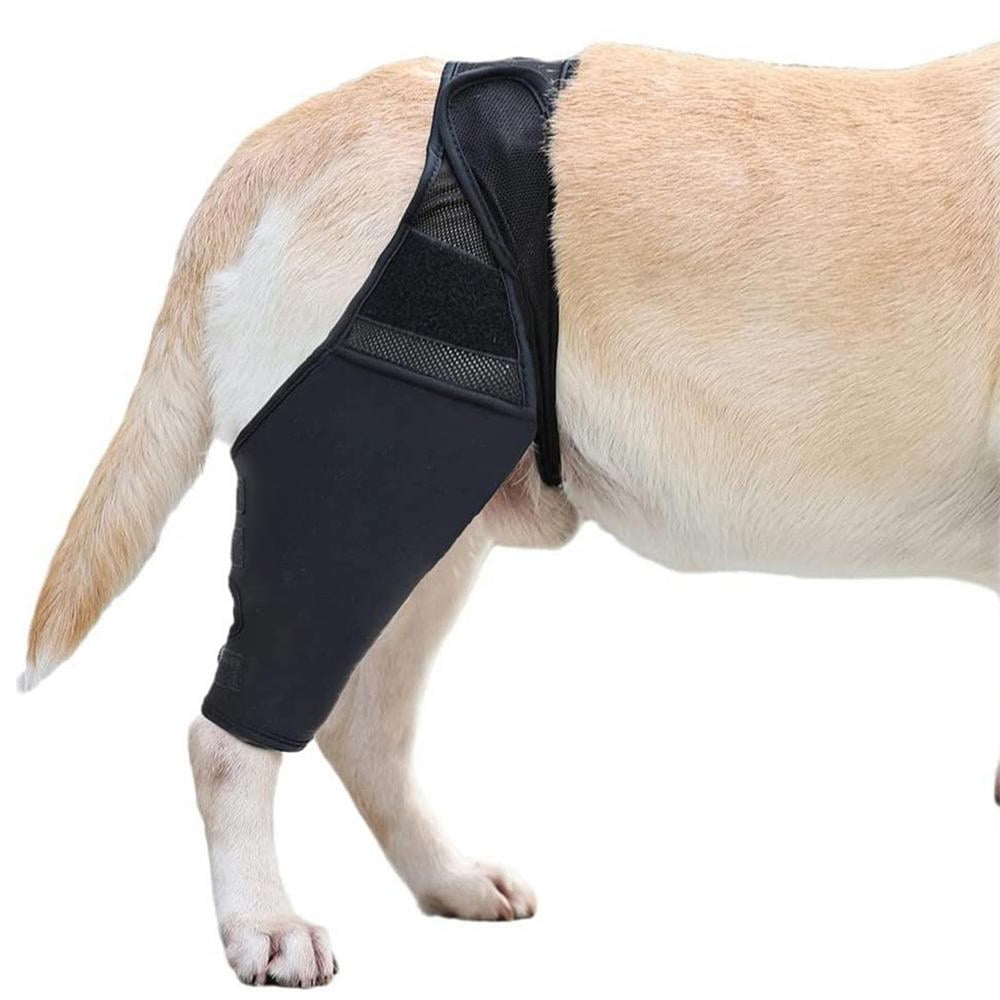 Hip Brace For Dogs Back Leg Support For Dogs Dog Knee Brace Dog Leg