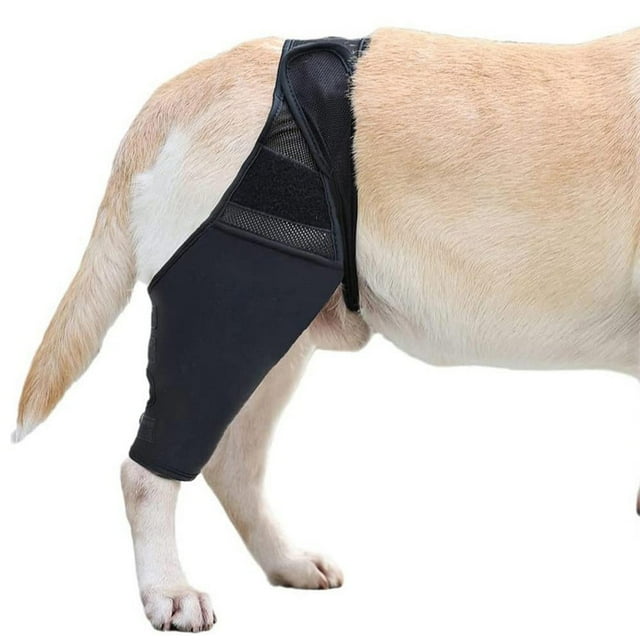 Hip Brace For Dogs Back Leg Support For Dogs Dog Knee Brace Dog Leg