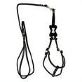 thumbnail image 1 of Hip Doggie HD-6SIBKB-XS Extra Small Bone Step-in Harness - Black, 1 of 1