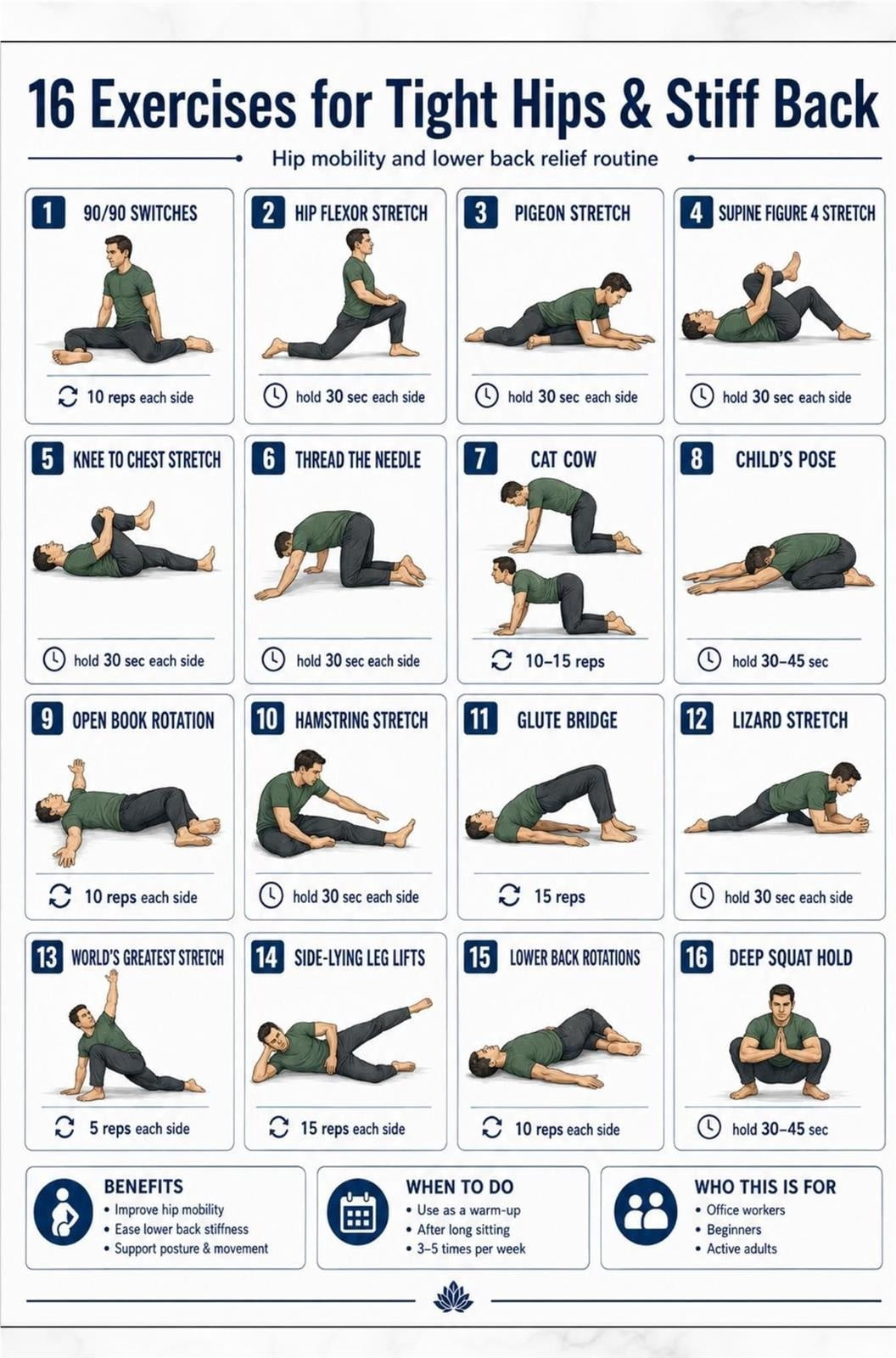 Young Stretch Routine Hip Flexibility Poster Mobility Stretch Routine Chart, Practical guide ...