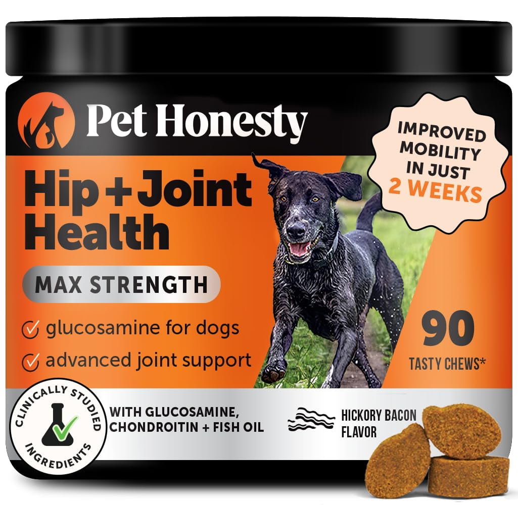 Thumbnail for Natural Joint Supplements For Dogs With Femoral Head Ostearthritis
