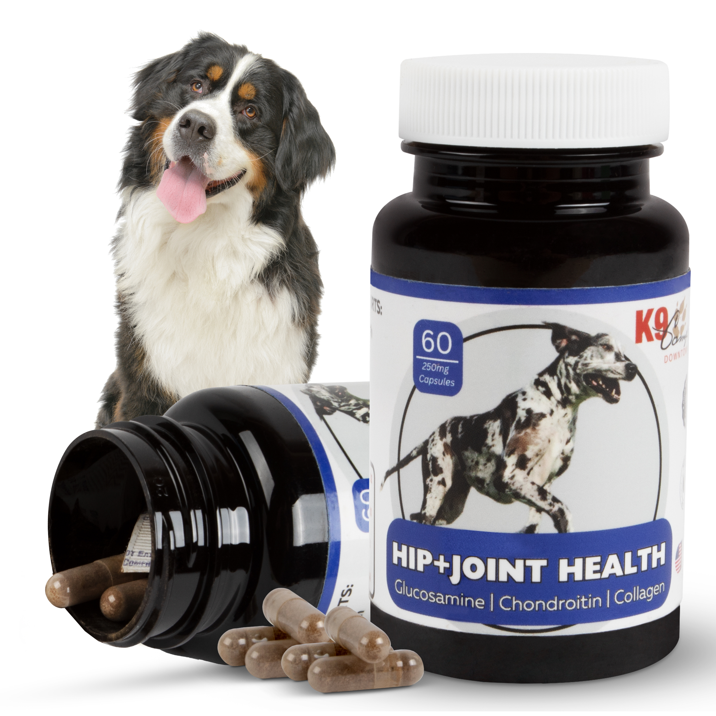 Hip & Joint Health Supplement K9 Comfort Downtown, Natural, Large Dogs, Glucosamine, Surgery