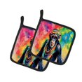 thumbnail image 1 of Hippie Animal Chimpanzee Pair of Pot Holders 7.5 in x 7.5 in, 1 of 5