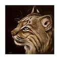 thumbnail image 1 of Hippie Hound Studios 'Black Background Bobcat' Canvas Art, 1 of 3