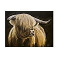thumbnail image 1 of Hippie Hound Studios 'Black Background Highland Cow On Black ' Canvas Art, 1 of 3