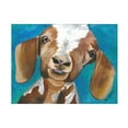 thumbnail image 1 of Hippie Hound Studios 'Goat Millie' Canvas Art, 1 of 3
