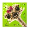 thumbnail image 1 of Hippie Hound Studios 'Ostrich Fifi' Canvas Art, 1 of 3