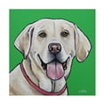 thumbnail image 1 of Hippie Hound Studios 'Yellow Lab Summer' Canvas Art, 1 of 3