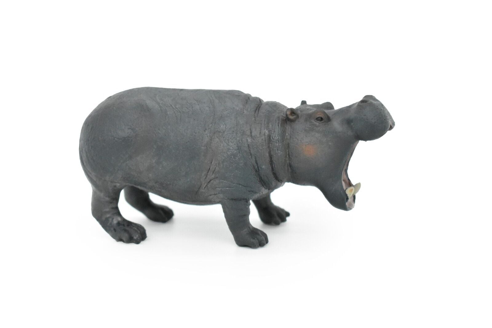 Hippo Toy, Hippopotamus, Africa, Museum Quality Rubber Figure