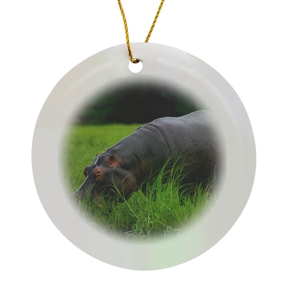 Hippopotamus And Cattle Egret, Chobe River, Chobe Np, Kasane, Botswana, Circle Porcelain Ornament