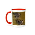 thumbnail image 1 of Hippopotamus In River, Masai Mara, Kenya-Af21 Aje0109 - Adam Jones, 15oz Two-Tone Red Mug, 1 of 7
