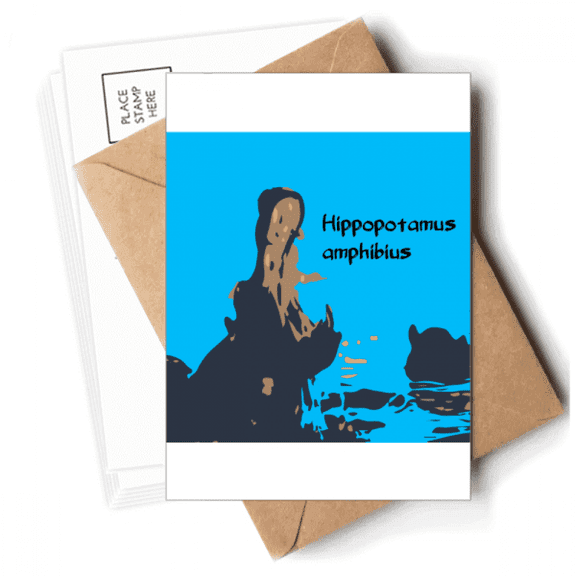 Hippopotamus Large Freshwater Postcards Envelopes Blank Note Cards Mailing