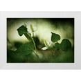 thumbnail image 1 of Hirai, Takiko 18x13 White Modern Wood Framed Museum Art Print Titled - White reminiscence, 1 of 4