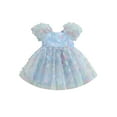 thumbnail image 1 of Hirigin Little Girls Tulle Princess Dress Puff Sleeve 3D Butterfly Tutu Dress 1-6 Years Birthday Party Dress, 1 of 7