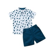 HIRIGIN Toddler Baby Boy Outfits 1T 2T 3T 4T 5T 6T Clothes Summer Kids Dinosaur Pattern Short Sleeve Button Down Shirt Shorts Set