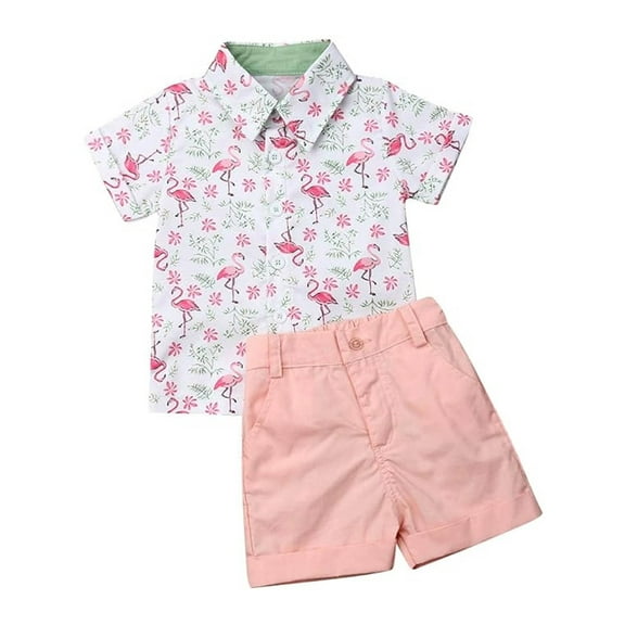 Hirigin Toddler Baby Boy Summer Outfits Flamingo Short Sleeve Button Down Shirt Casual Shorts Set 1-6 Years Clothes