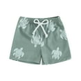 thumbnail image 1 of Hirigin Toddler Baby Boy Swim Trunks 6 12 18 Months 2T 3T 4T  Beach Board Shorts Elastic Waist Swimming Shorts, 1 of 7