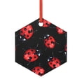 thumbnail image 1 of Hirioo Beautiful Red Ladybug for Acrylic Christmas Pendant Hanging Christmas Tree Ornaments, Car, Home, Office Gift Decor-Hexagon, 1 of 7