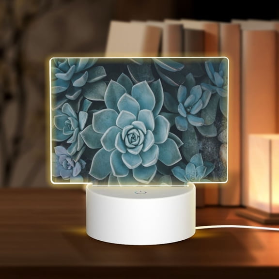 Hirioo Blue Color Cactus for Rectangular Acrylic with Night Light Best Gifts for Lover Girl Mom, Valentine's Day Anniversary Birthday Wedding Present