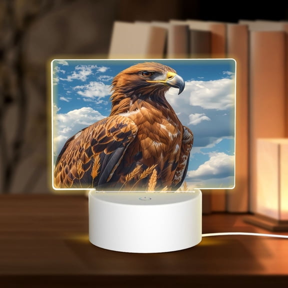 Hirioo Blue Sky White Cloud Eagle for Rectangular Acrylic with Night Light Best Gifts for Lover Girl Mom, Valentine's Day Anniversary Birthday Wedding Present