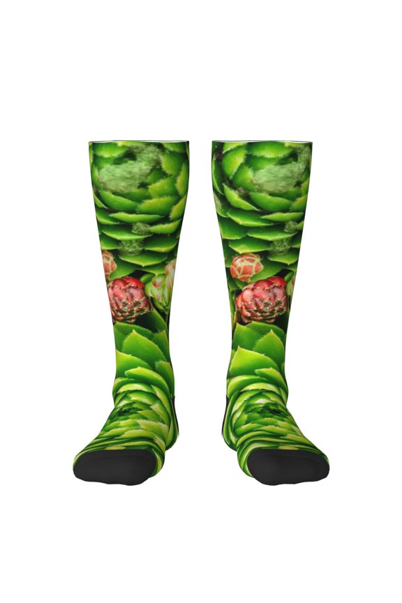Hirioo Cactus And Succulents for Adult Stockings Breathable Sock Non-Pilling,Contrasting Color Design