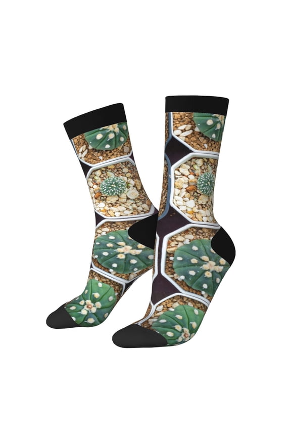 Cactus Garden Pattern Adult Middle Tube Socks Breathable Sock Non-Pilling,Contrasting Color Design