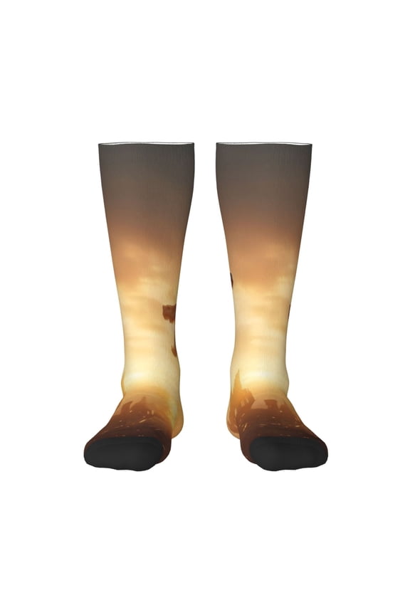 Castle Cool Fire Dragon for Adult Stockings Breathable Sock Non-Pilling,Contrasting Color Design