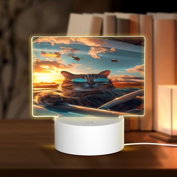 Hirioo Cool Cat Driving Sunset for Rectangular Acrylic with Night Light Best Gifts for Lover Girl Mom, Valentine's Day Anniversary Birthday Wedding Present