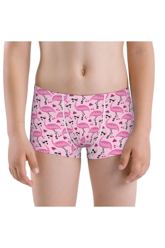 Cool Flamingos for Boy's Boxer Briefs Boys Cotton Underwear Kids Boxer Briefs Panties-Small
