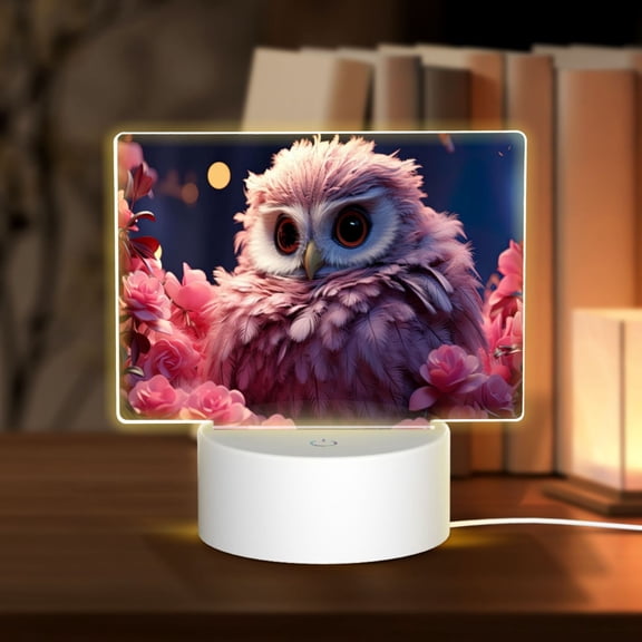 Hirioo Cute Flower Owl for Rectangular Acrylic with Night Light Best Gifts for Lover Girl Mom, Valentine's Day Anniversary Birthday Wedding Present