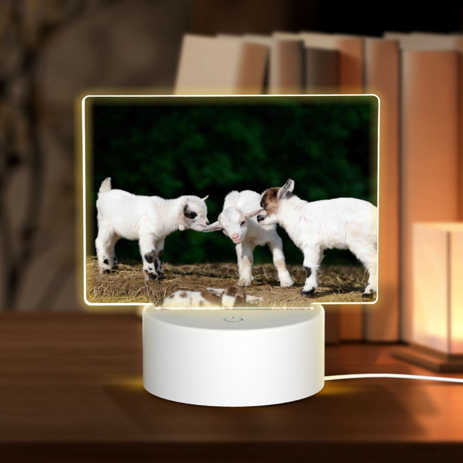 Hirioo Cute Goat Baby for Rectangular Acrylic with Night Light Best Gifts for Lover Girl Mom, Valentine's Day Anniversary Birthday Wedding Present