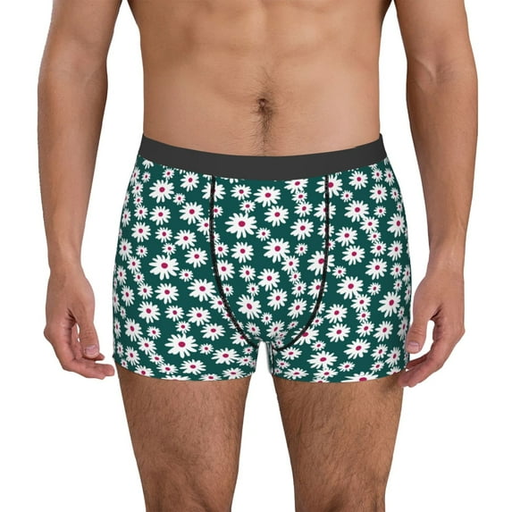 Hirioo Daisies Flowers for Men's Boxer Briefs Men Cotton Underwear Boxer Briefs Panties-Large