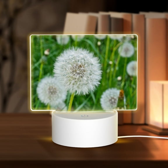 Hirioo Dandelion Flower In The Meadow for Rectangular Acrylic with Night Light Best Gifts for Lover Girl Mom, Valentine's Day Anniversary Birthday Wedding Present