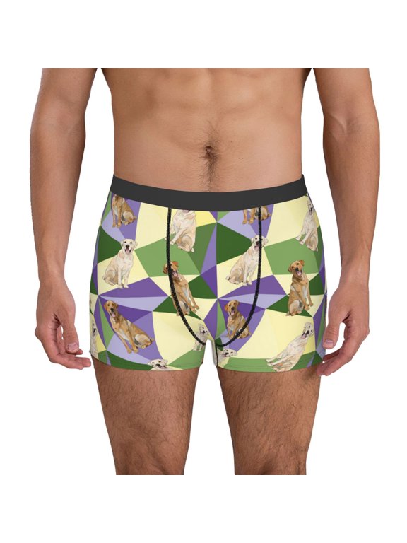 Labrador Retriever Dog for Men's Boxer Briefs Men Cotton Underwear Boxer Briefs Panties-Small