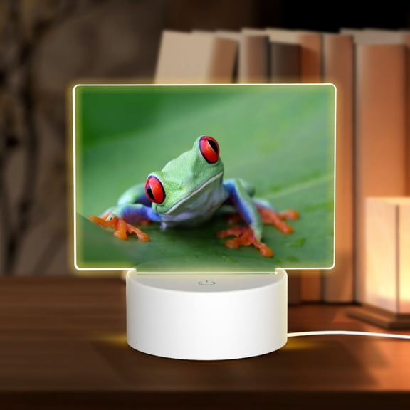 Hirioo Red-Eyed Tree Frog-1 for Rectangular Acrylic with Night Light Best Gifts for Lover Girl Mom, Valentine's Day Anniversary Birthday Wedding Present