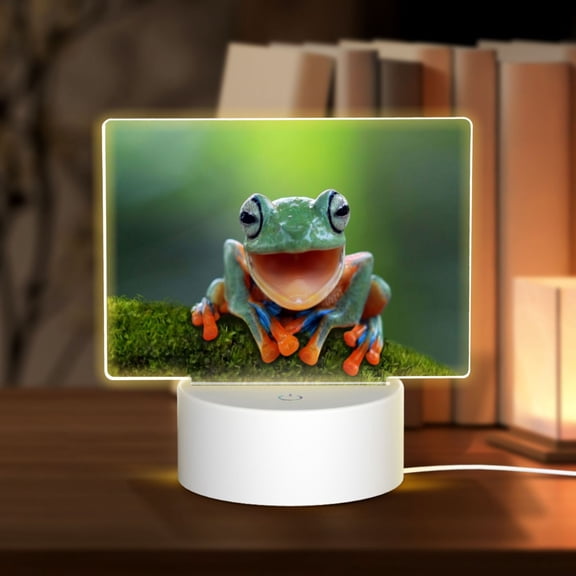 Hirioo Tree Frog for Rectangular Acrylic with Night Light Best Gifts for Lover Girl Mom, Valentine's Day Anniversary Birthday Wedding Present