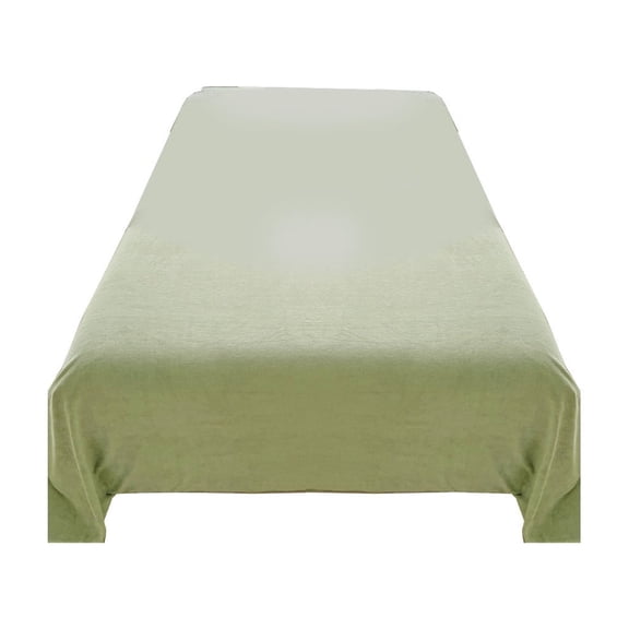 Hiroekza Premium Twin Flat Sheet, Bed Sheet - Soft Velvet Flannel, Cozy, Warm, Anti-Static & Non-Pilling - Multiple Colors Available Green