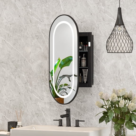 Hironpal LED Oval Medicine Cabinet with Mirror,16"x31" Lighted Bathroom Mirror Cabinet,Recessed/Wall Mounted,Black