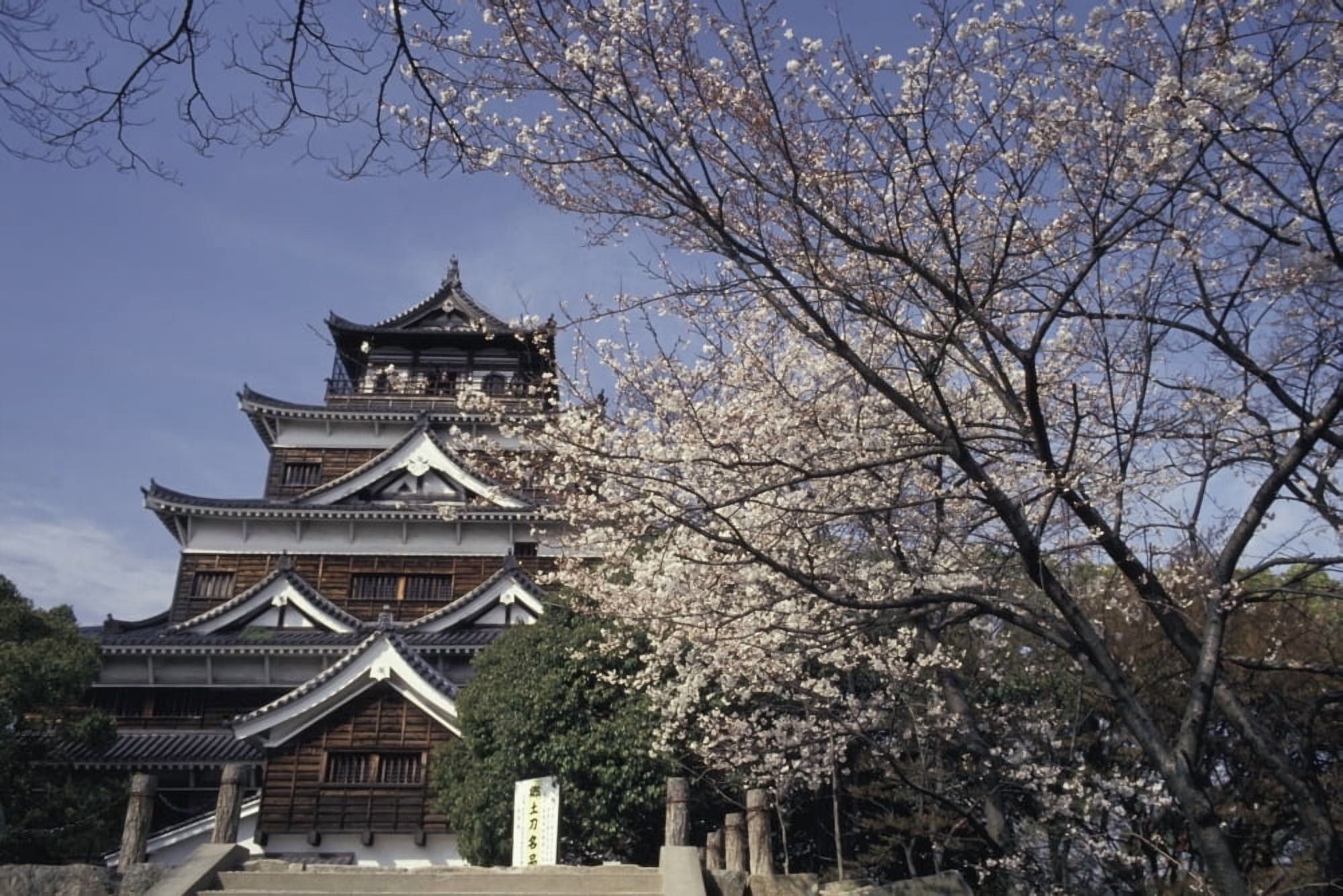 Hiroshima Castle And Cherry Blossoms In Spring Canvas Art - Paul Quayle Design Pics (38 x 24)