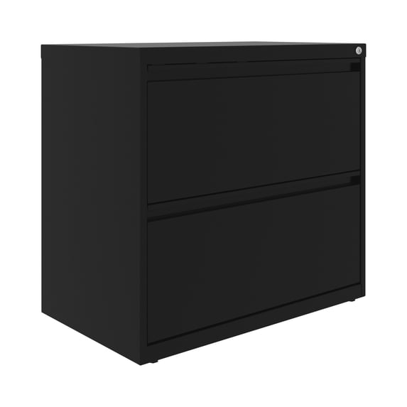 Hirsh 30 inch Wide 2 Drawer Lateral 101 File Cabinet for Home or Office, Black