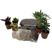 Hirts Terrarium Kit with 5 Terrarium Plants in 2 Pots