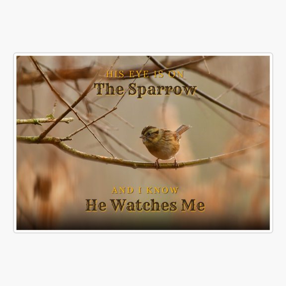 His Eye Is On The Sparrow Sticker