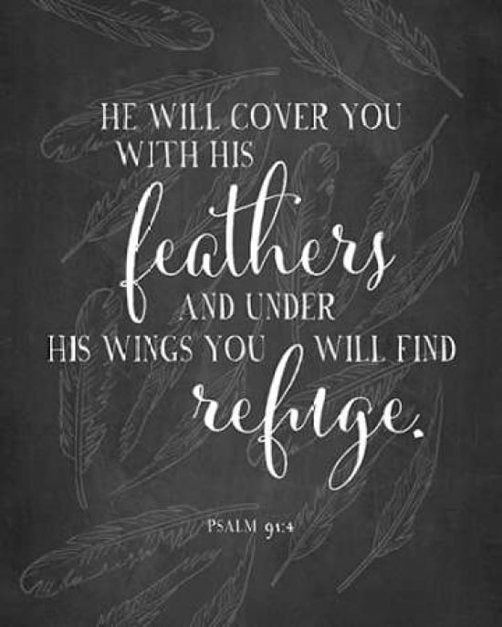 His Feathers Canvas Art - Amy Cummings (24 x 30)