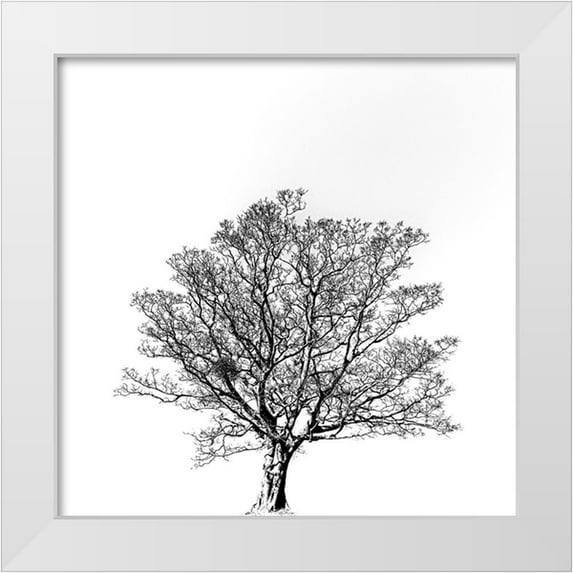 Hisamitsu, Yuusuke 12x12 White Modern Wood Framed Museum Art Print Titled - Overflowing vitality.