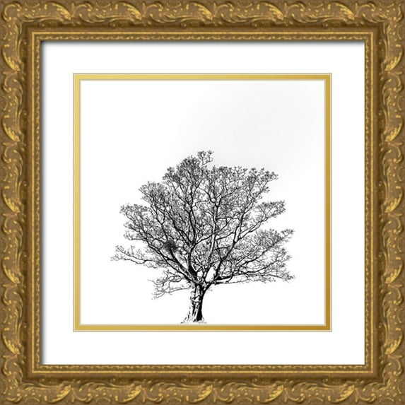 Hisamitsu, Yuusuke 26x26 Gold Ornate Wood Framed with Double Matting Museum Art Print Titled - Overflowing vitality.