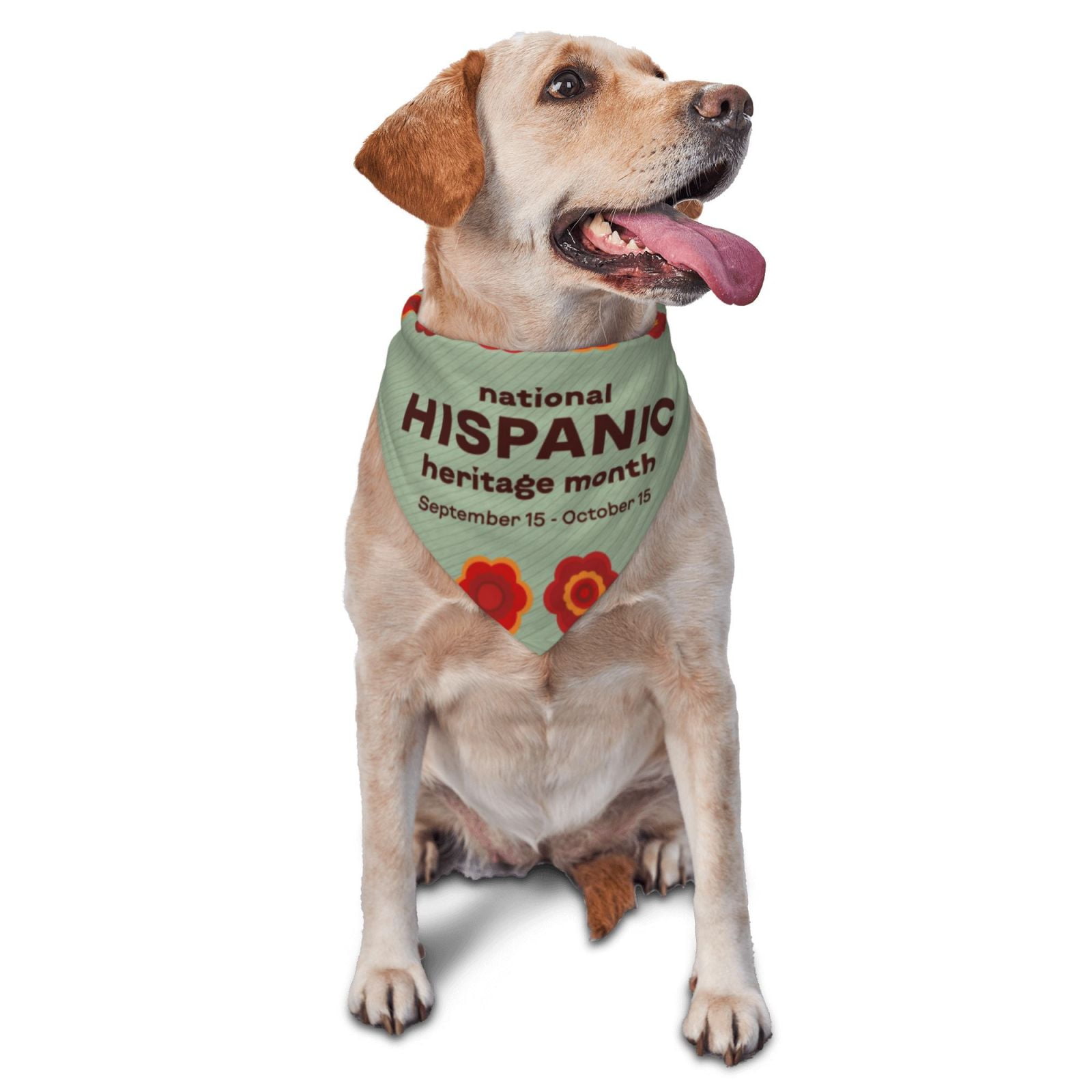 Hispanic Heritage Month Latin American 2024 Dog Bandanas Triangle Bibs ...