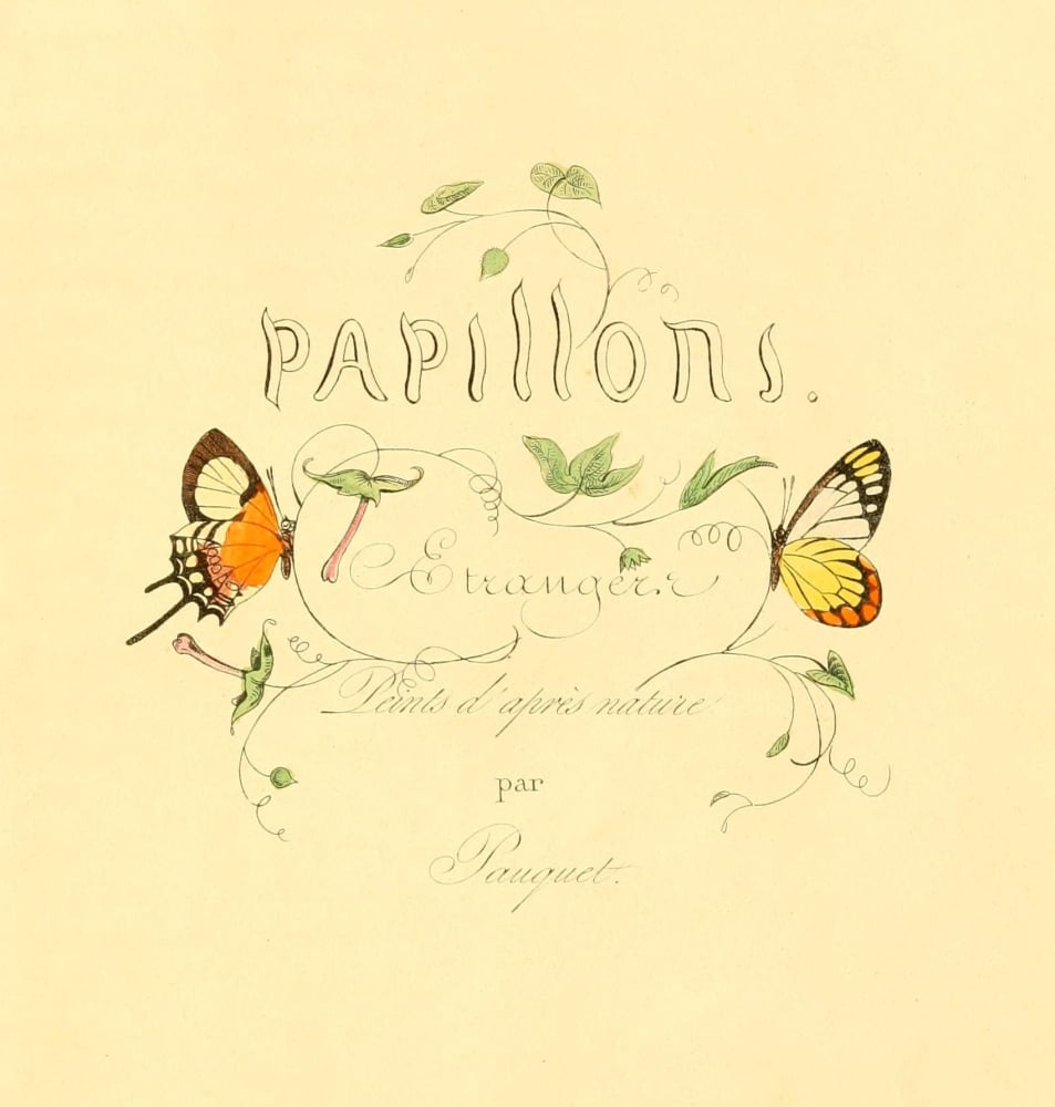 Histoire Naturelle des LpidoptÔøΩres Exotiques 1845 Title page Canvas Art - Unknown (24 x 36)