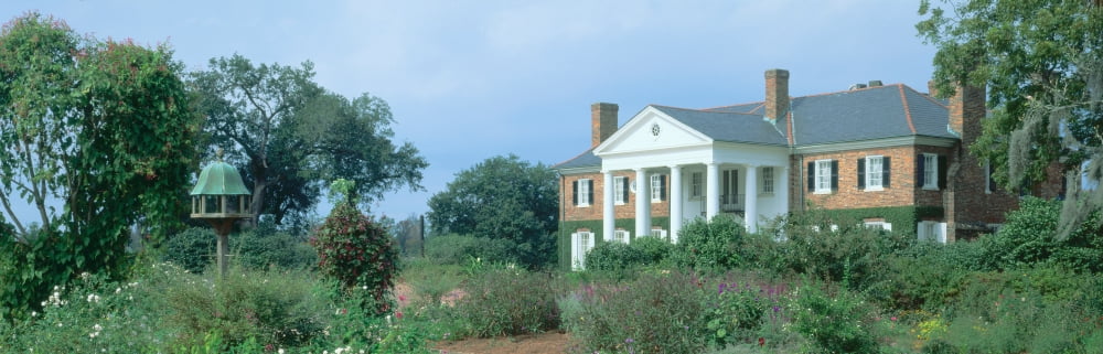 Historic Boone Hall cotton plantation from 1681 South Carolina Canvas Art - Panoramic Images (36 x 12)