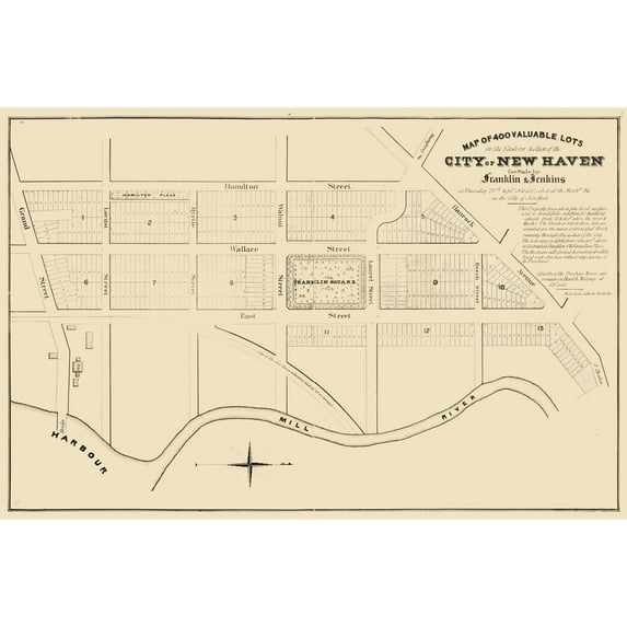 Historic City Map - New Haven Connecticut - 1835 - Vintage Wall Art